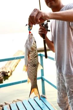 Fishing on the lake Stock Photos