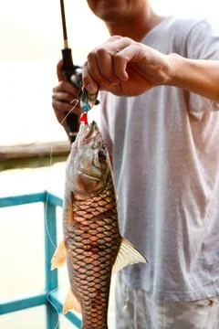 Fishing on the lake Stock-Fotos