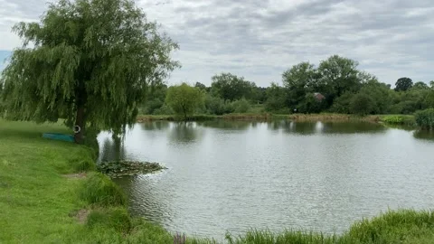 Fishing lake with reflections of trees blowing in the wind 库存影片 135740152