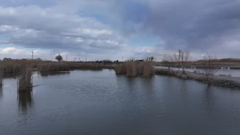 Fishing lakes 6 Stock Footage 335526099