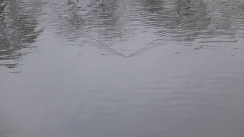 Fishing line cutting water surface Stock Footage 79930813