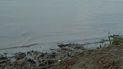 Fishing line with a float casting into the river water Stock Footage 337753095
