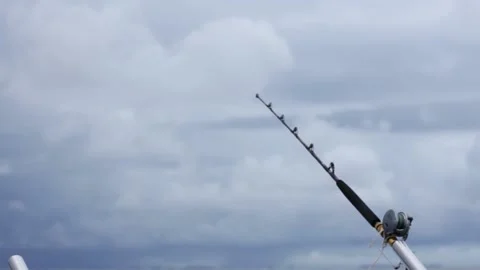 Fishing line Stock Footage 155164264