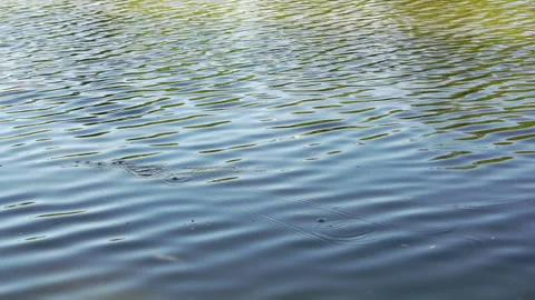Fishing with a line in the summer. Stock Footage 156548549