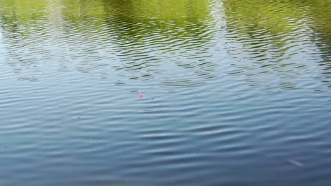 Fishing with a line in the summer. Stock Footage 157001919