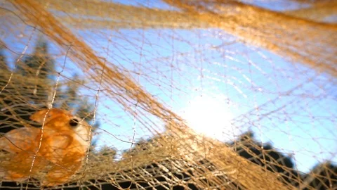 Fishing lines 1 Stock Footage 92815000