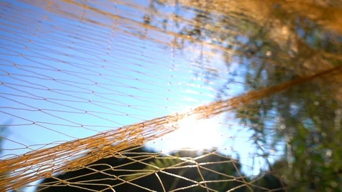 Fishing lines 2 Stock Footage 92815387