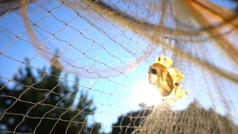 Fishing lines 3 Stock Footage 92815845