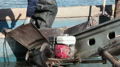 Fishing loading fish from boat to convey, Stock Video