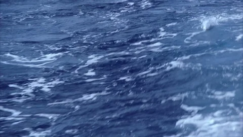 Fishing lure being pulled behind a boat Stock Footage 120111955