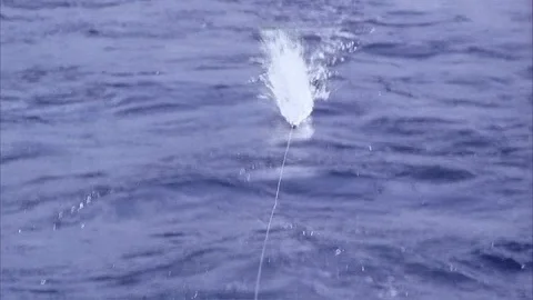 Fishing lure being pulled behind a boat Stock Footage 120112120