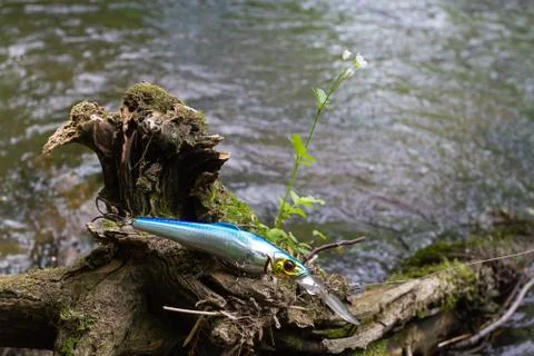 Fishing lure caught on a tree Stock Photos