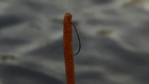 Fishing lure Stock Footage 232870362