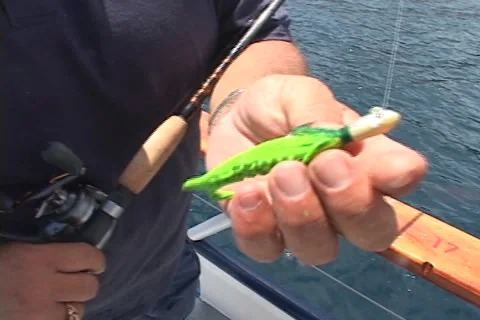 Fishing lure in hand 스톡 동영상 2892169