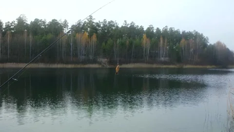 Fishing lure pulled out of a calm lake in autumn Stock Footage 322165741