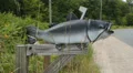Fishing mailbox. HD Footage