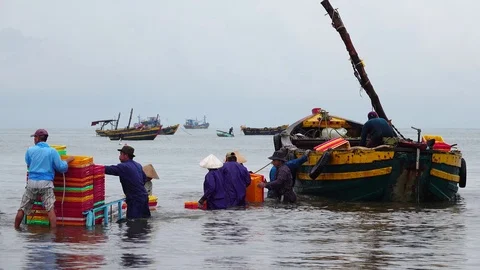 Fishing man Stock Footage 82061030