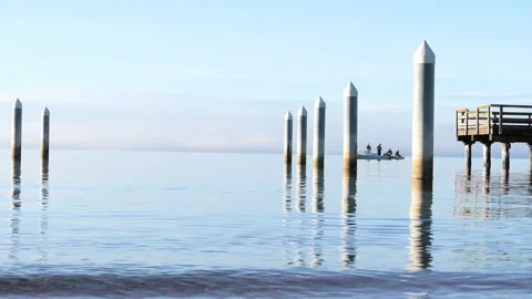 Fishing in the morning Stock Footage 144894714