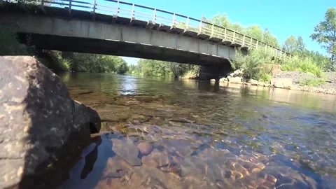 Fishing on a mountain river, caught salmon on spinning, lenok fish Stock Footage 146938511