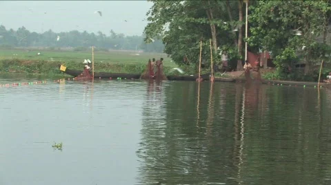  Fishing on Muthoot canals in India Stock Footage 332453
