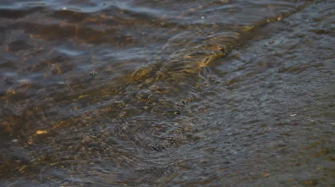 Fishing, nature, water, lake,  landscape Stock Footage 37102453