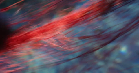 Fishing net and sea on the background. Sicily, Italy Stock Footage 318072048