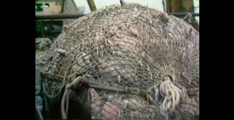 Fishing Net Being Dragged Onboard Ship – Australia (1980s) Stock-Footage 310438508