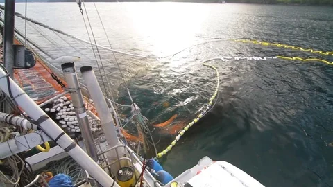 Fishing net being pullet up by the crane in the boat 스톡 동영상 83304747