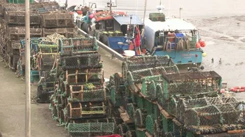 Fishing Net Cages Stock-Footage 11152181