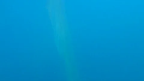 Fishing Net in the Deep Sea Video stock 144669216