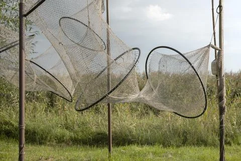Fishing Net Drying in the Wind Stock Photos