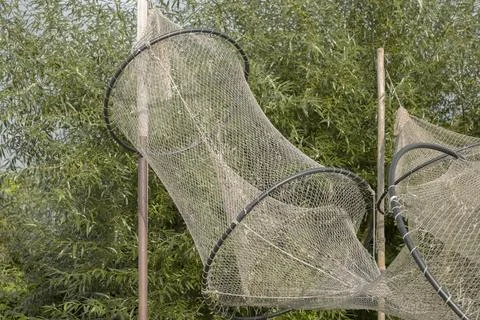 Fishing Net Drying in the Wind 写真素材