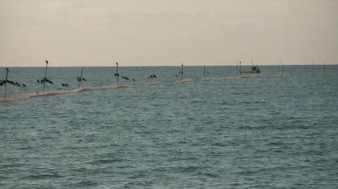 Fishing net Stock Footage 519306