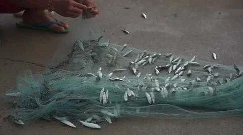 Fishing by net Stock Footage 63892161