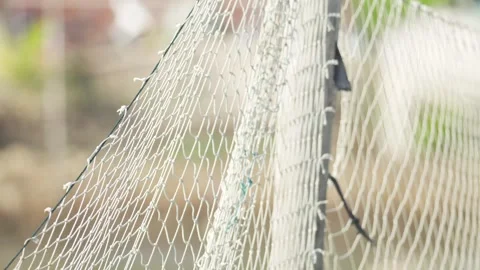 Fishing Net Installed in the Middle of a Fish Pond Stock Footage 336648067