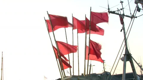 Fishing net marker buoy flags Stock-Footage 358612