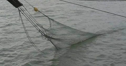 Fish Tank Shrimp Net Fishing Landing Net Catcher Net Catching Net