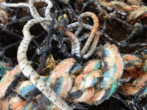 Fishing Net Stock Photos