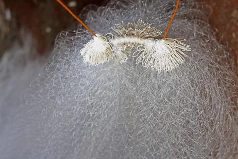 Fishing Net Stock Photos