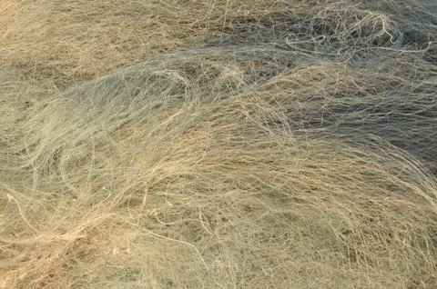 Fishing net Stock Photos