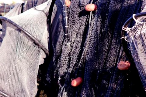 Fishing net Фото