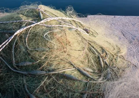 Fishing net 库存照片
