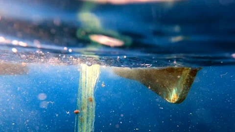Fishing net is pulled underwater toward a boat - Submerged Mesh and Gear Detail Stock Footage 340006951