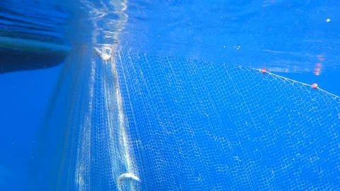 Fishing net is pulled underwater toward a boat - Gear Texture and Water Current Stock Footage 340007195