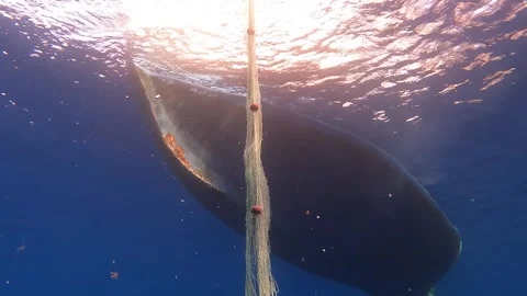 Fishing net is pulled underwater toward a boat through blue water - Marine Life Stock Footage 340007295