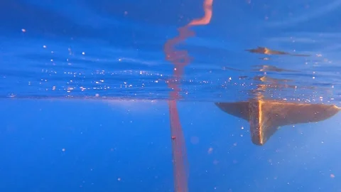 Fishing net is pulled underwater toward a boat - Submerged Mesh and Gear Texture Stock Footage 340007470