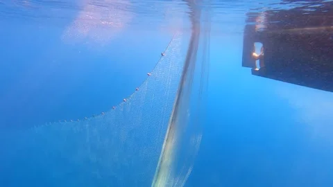 Fishing net is pulled underwater toward a boat through blue water - Ship Remains Stock Footage 340007712
