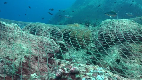 Fishing net on the reef Stock Footage 94653920