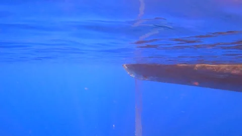 Fishing net rises underwater toward boat hull - Workboat and Craft Fishing Stock Footage 339976022