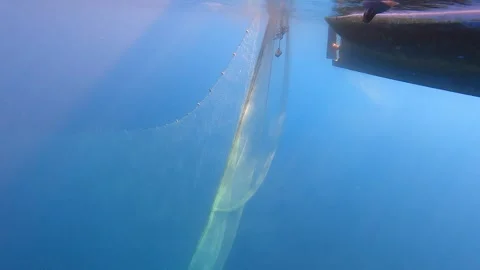 Fishing net rises underwater toward boat hull as catch gear - Craft Fishing Stock Footage 339976510